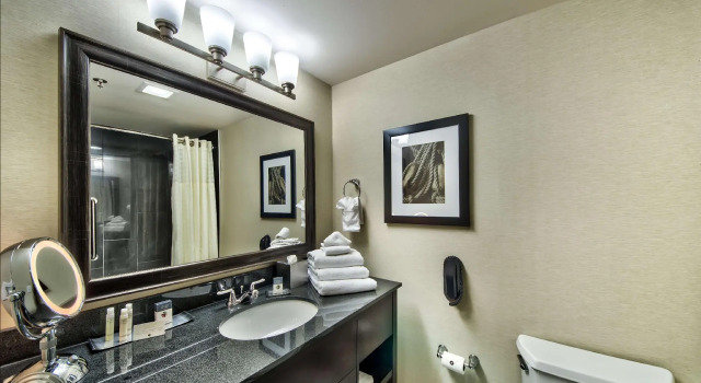 Двухместный номер DoubleTree by Hilton Port Huron