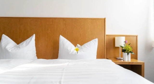 Номер Superior Hotel & Apartments Böhm