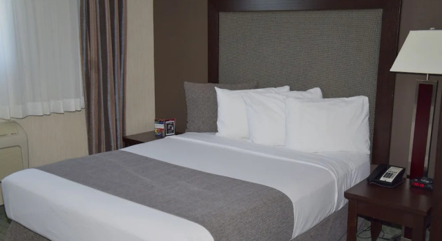 Двухместный номер Comfort Coast Lethbridge Hotel & Conference Centre