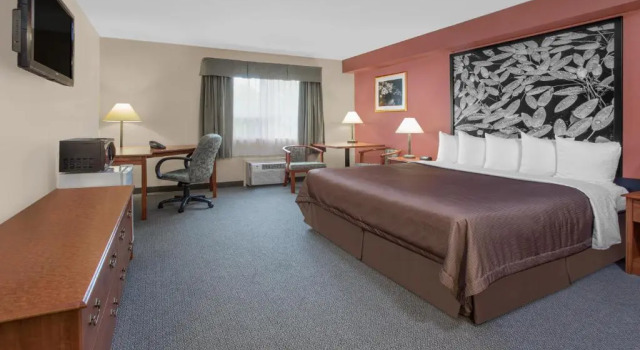 Номер Standard Super 8 by Wyndham Sault Ste Marie On