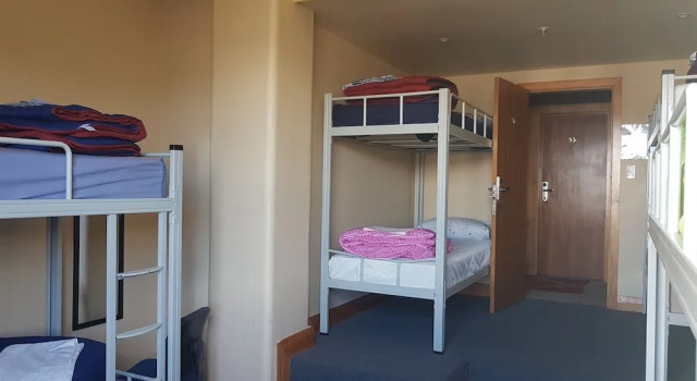 Кровать в общем номере Wild Zebra Backpackers