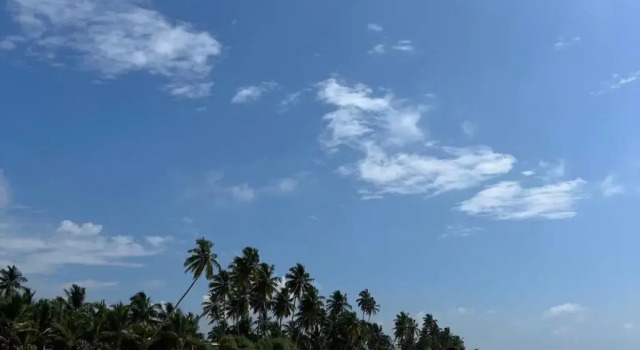 Neem Tree Guest House