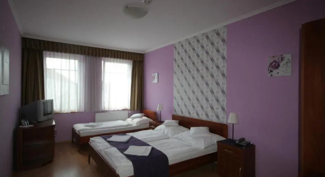 Трёхместный номер Standard Hotel Patonai
