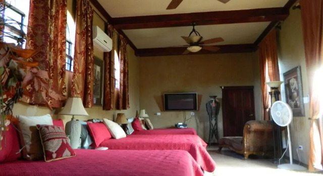Standardní pokoj Becks Bed and Breakfast