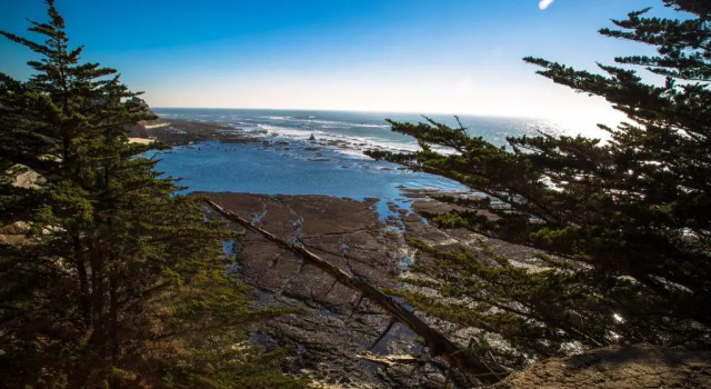 Люкс Seal Cove Inn
