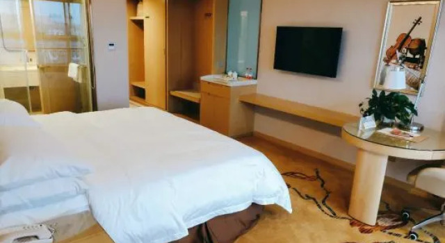 Люкс Deluxe Vienna International Hotel (Slender lake Dongguan Street Ancient Canal)