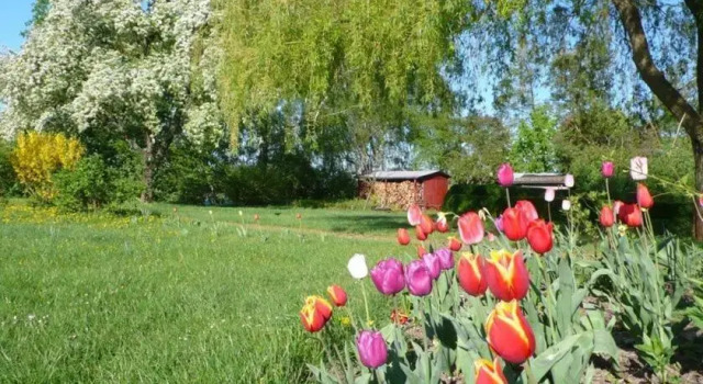 Landhaus Seebeck, Rezervați Casă de vacanță Vielitzsee Brandenburg