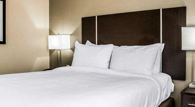 Quality Inn, 预订 酒店 Locust Manor 纽约州