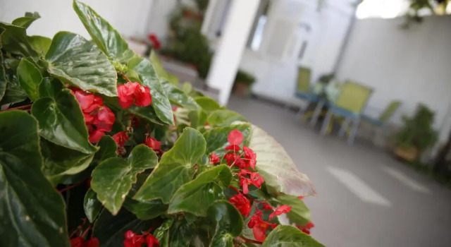 Студия Apartment Lambasa