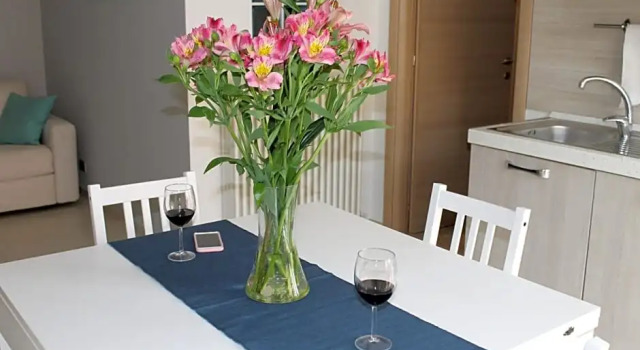 Casa Rinu