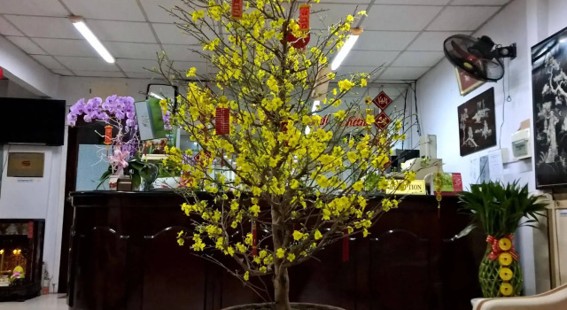 Quang Sang Hotel