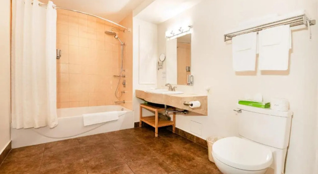 Двухместный номер Standard Auberge Sous les Arbres