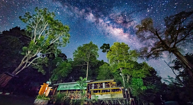 Номер Standard Borneo Tropical Rainforest Resort