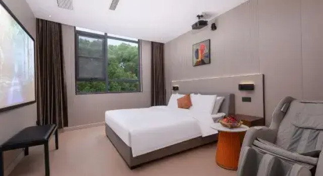 Люкс Deluxe WG ELEGANT HOTEL(Zhangjiagang Jiyang Lake Branch)