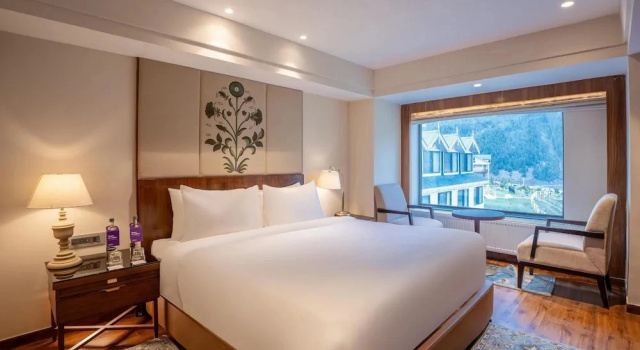 Полулюкс Radisson Hotel Sonamarg