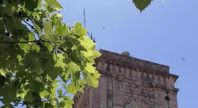 Le Due Torri