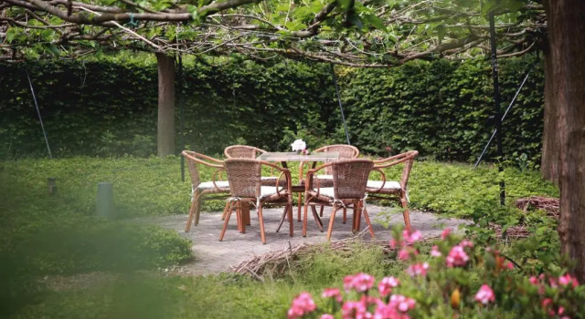 PicaBella - B&B en atelier, Book Bed and Breakfast Beekbergen Veluwe