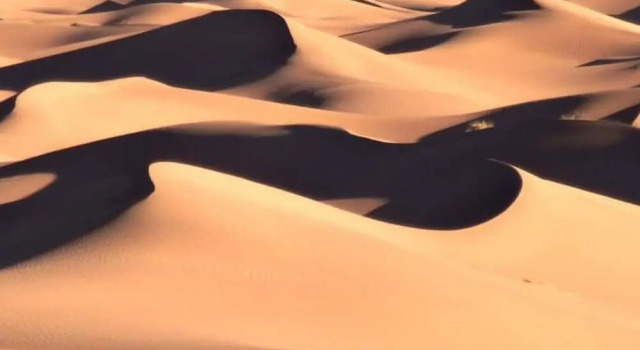 Тент Mhamid Desert Camp Tours