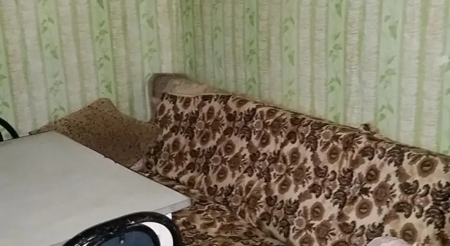 Загородный Дом, Book Hotel Batumi 