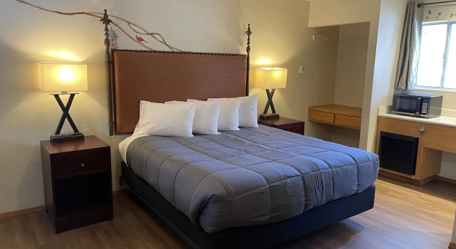 Номер Deluxe Snow Bear Lodge