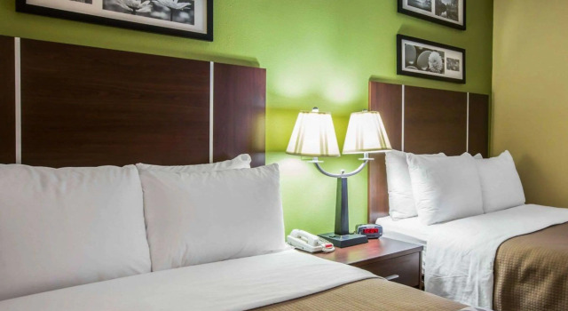 Четырёхместный номер Standard Sleep Inn Asheville - Biltmore West