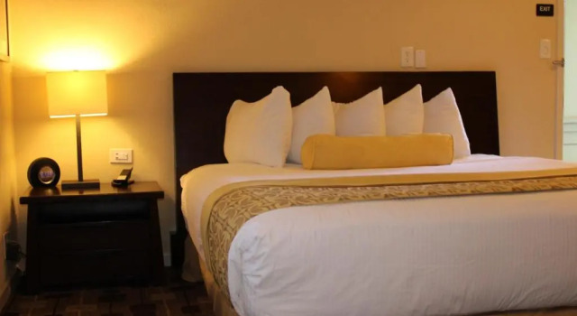 Номер Standard The Zen Hotel Palo Alto