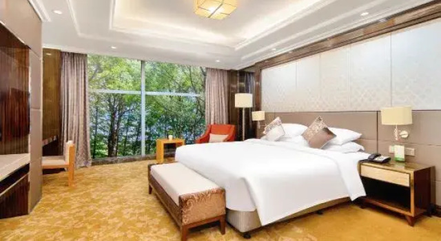 Люкс Business Garden Grand Hotel Nanxun
