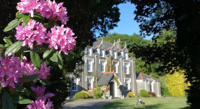 Коттедж Swansea Valley Holiday Cottages