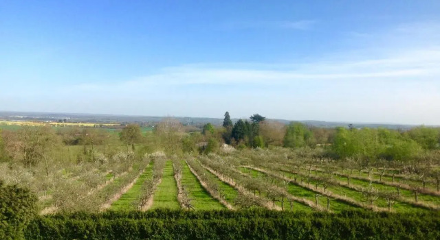 Люкс Shakespeares View