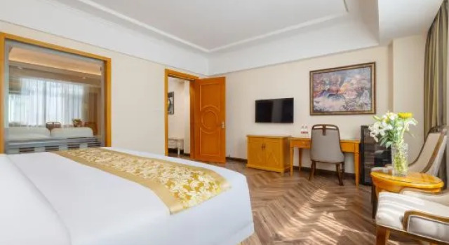 Люкс Deluxe Vienna Hotel (Beijing Jiugong Metro Station)