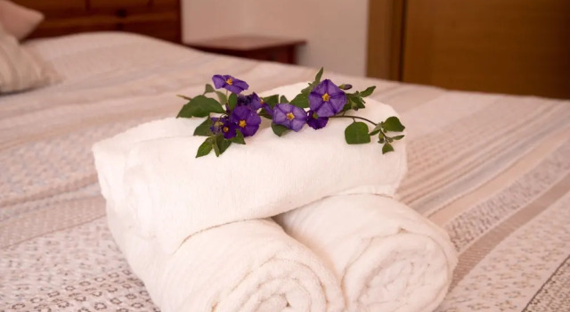 Номер Standard Casa Spa dAlma