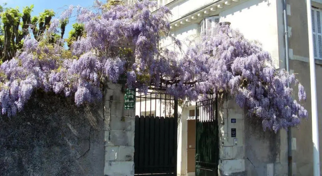 La Héraudière Bed & Breakfast, Забронировать Отель «постель и завтрак» Тур Эндр и Луара