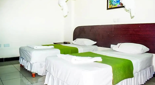 Трёхместный семейный номер Standard с балконом Sheratton Regency Hotel