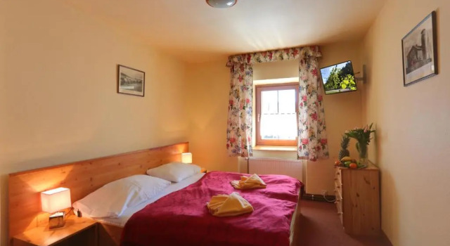 Двухместный номер Standard Hotel Zelený Dům