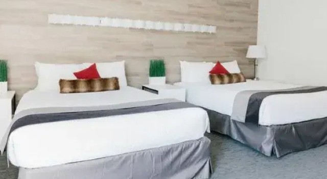Полулюкс Elk + Avenue Hotel