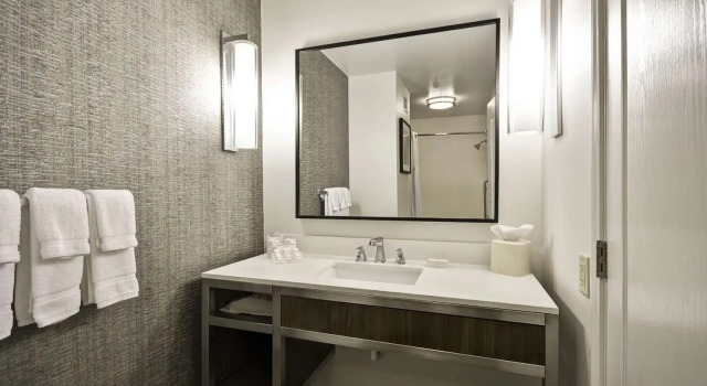 Номер Deluxe Hilton Garden Inn Austin Round Rock