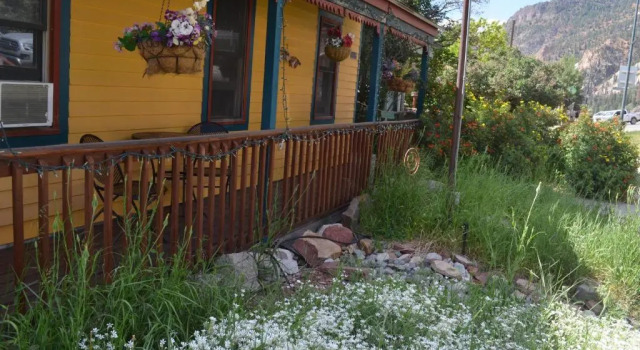 Номер Standard The Ouray Main Street Inn