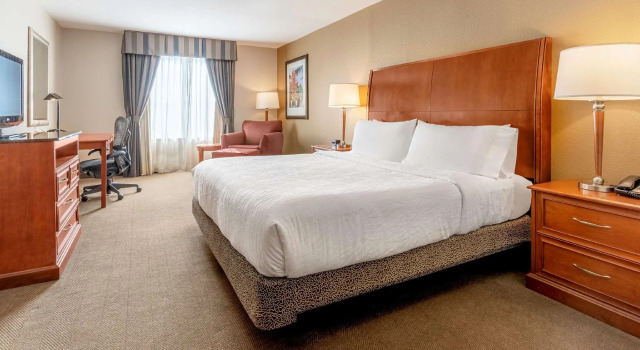 Двухместный номер Standard Hilton Garden Inn Houston/The Woodlands