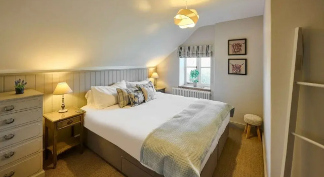 Host Stay Rock Rose