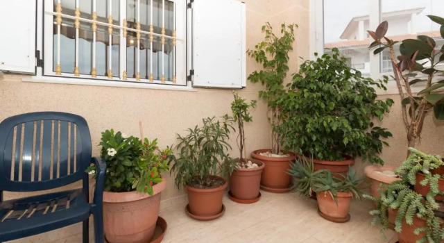 114 Sea Views Dream - Alicante Holiday, Забронировать Отель Отели Торревьеха с бассейном, рядом с Molino del Agua Park Municipal Natural Park, Бассейн