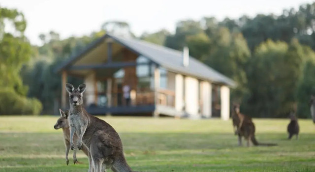 Номер Deluxe Yering Gorge Cottages