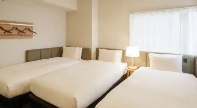 Номер Standard HOTEL AMANEK Asakusa Sakurabashi