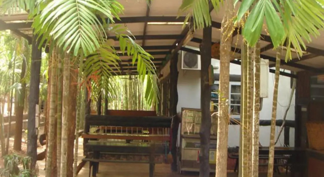Семейный номер Standard Sam's Jungle Guesthouse