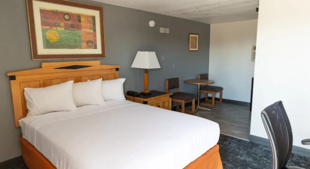 Одноместный номер Economy Econo Inn