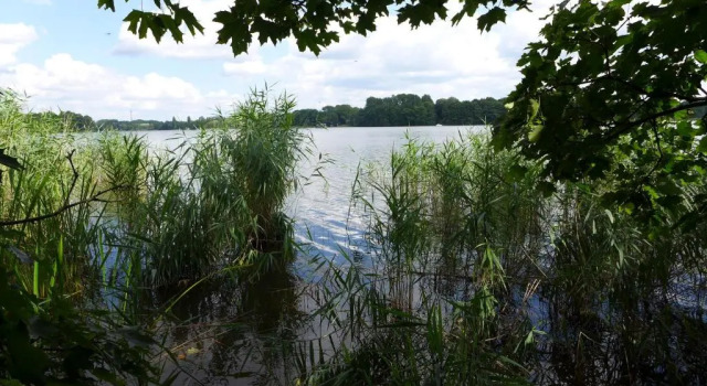 Ferienhaus Natura, Réserver Hôtel Neuruppin Brandebourg