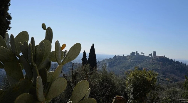 Apartment Via Del Vento