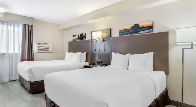 Четырёхместный номер Standard Comfort Inn & Suites Pacific - Auburn