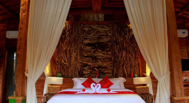 Люкс Deluxe Ubud Virgin Villa