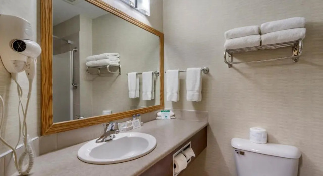 Четырёхместный номер Standard Devonian Hotel and Suites