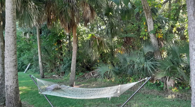 Номер Standard Travel Inn of Titusville